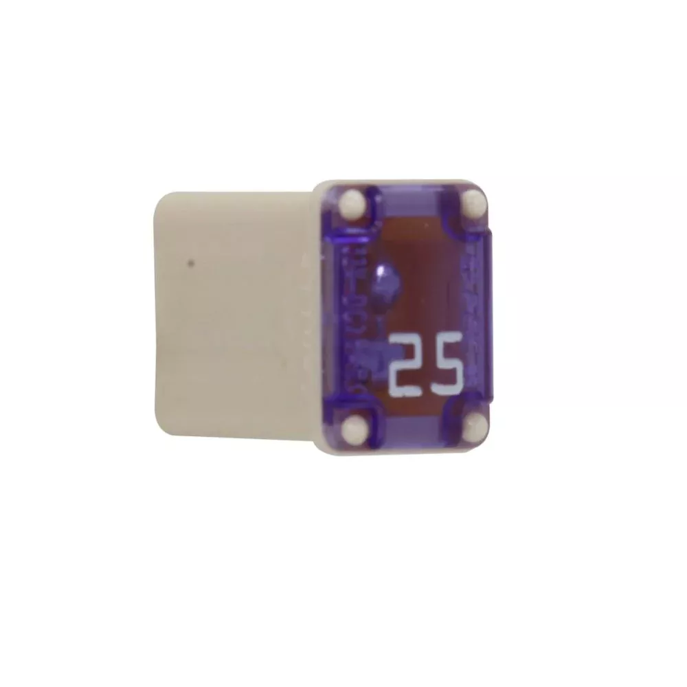 Bussmann Micro Female Time Delay F [FMM-25]