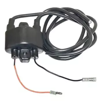 Buy Online Ignition Coil