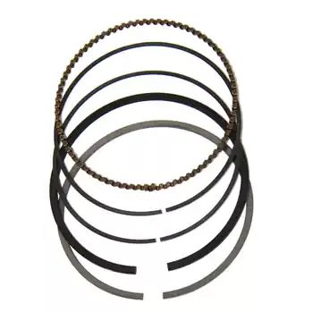 Ring Kit, Piston Std OEM Reduced Price