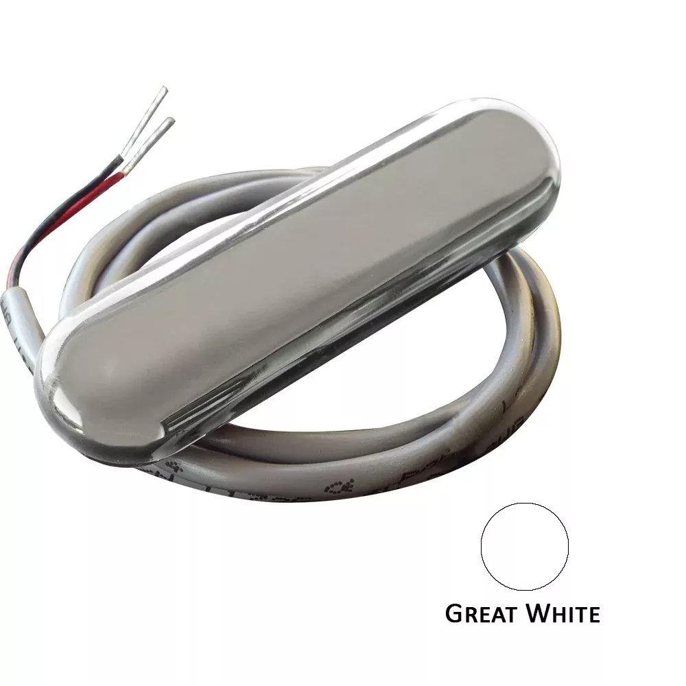 Shadow-Caster Courtesy Light w/2' Lead Wire - 316 SS Cover - Great White - 4-Pack [SCM-CL-GW-SS-4PACK]