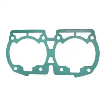Time-Limited Gasket, Base .020