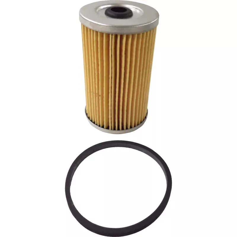 Today Only Fuel Filter Element & O-Ring