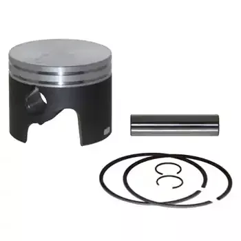 Trusted Brand ProV Piston Kit .020