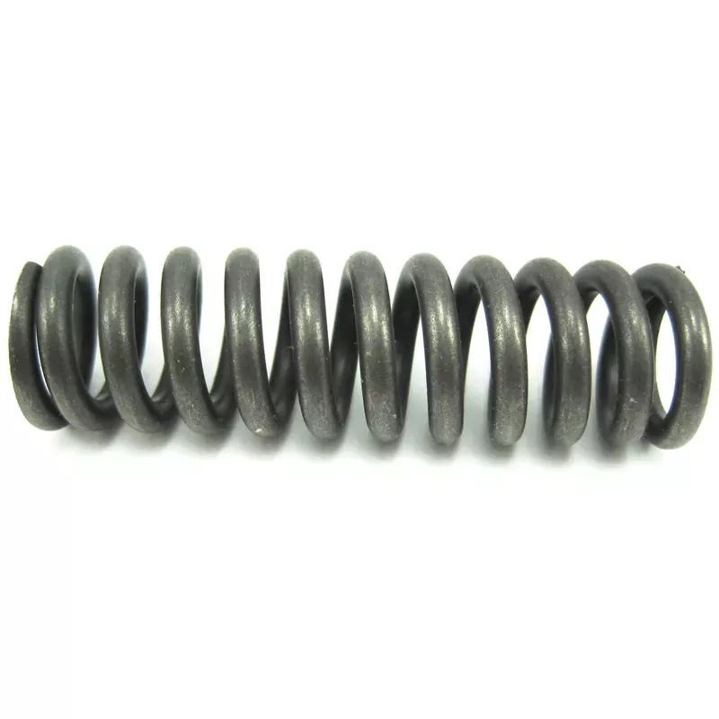 Valve Spring Hot Deal