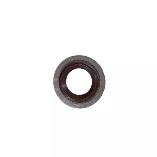 Volvo Penta 3851981 Washer Premium